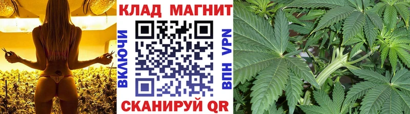 Продажа наркотиков Судак ГАШ  COCAIN  Меф мяу мяу  ГЕРОИН  Марихуана  mega вход  СОЛЬ 