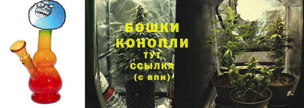 PSILOCYBIN Аркадак