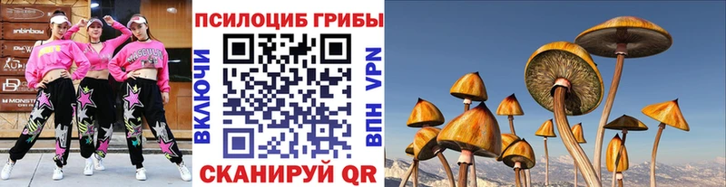Псилоцибиновые грибы GOLDEN TEACHER  наркошоп  маркетплейс какой сайт  Судак 